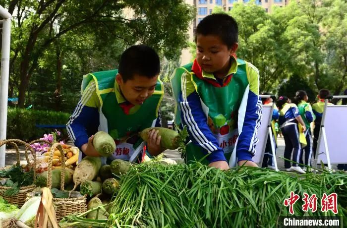 資料圖：2020年9月25日，蘭州市紅山根小學“心根農莊”里上演了一場特別的豐收節會。　崔琳　攝